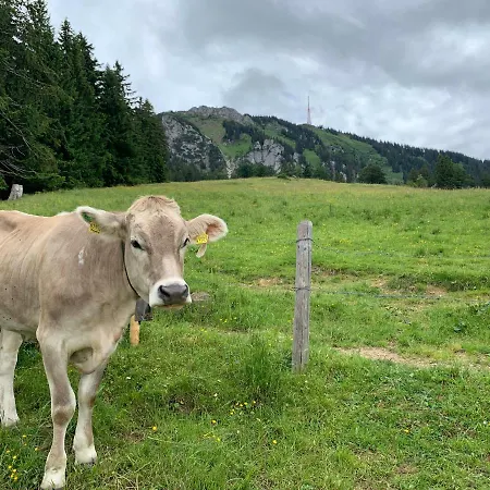 Ferienwohnungen Im Dorfwirt Blaichach Eksteriør billede
