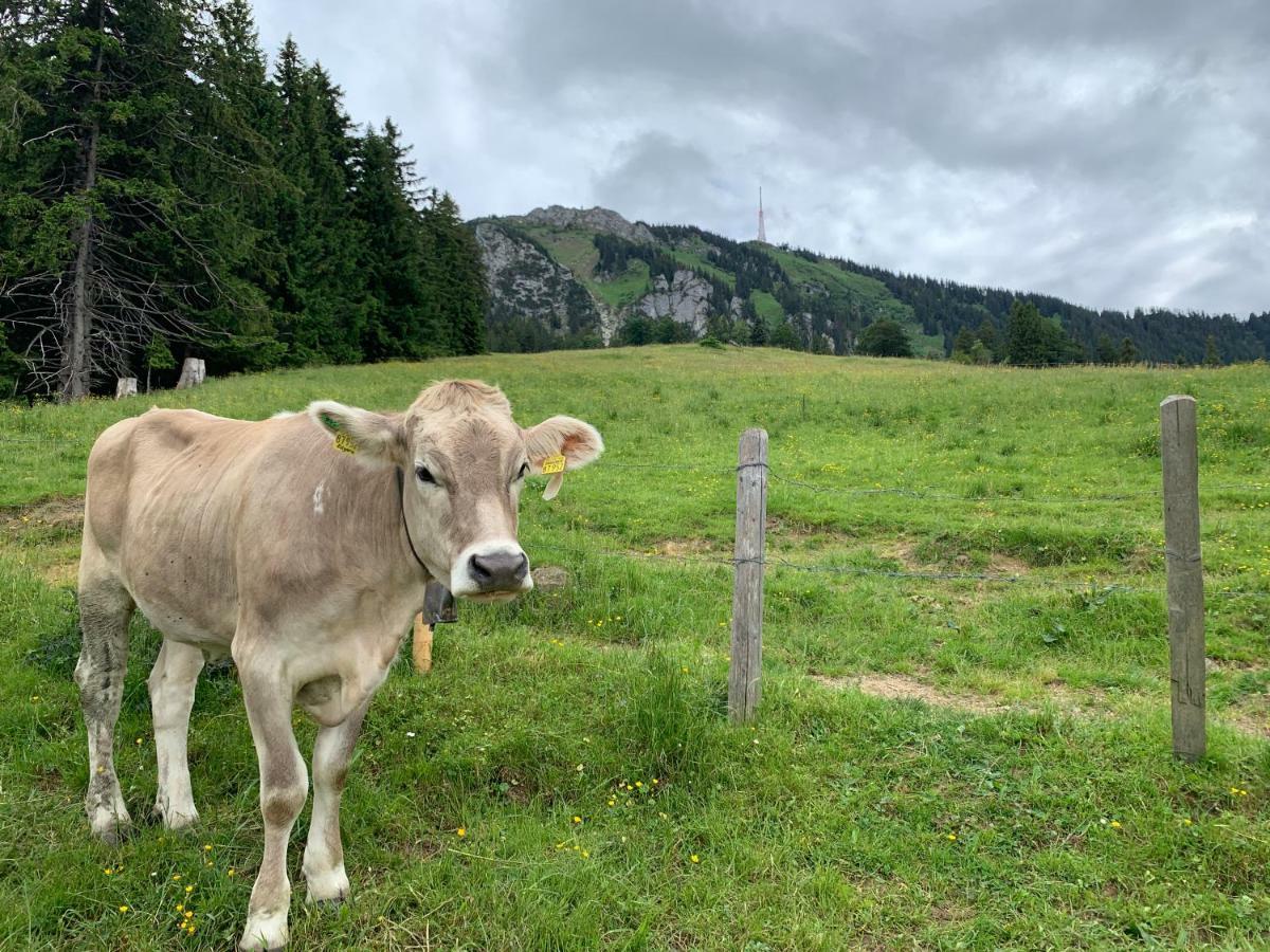 Im Dorfwirt